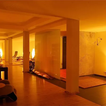 Maxhotel Hotel Lindau (Bodensee)